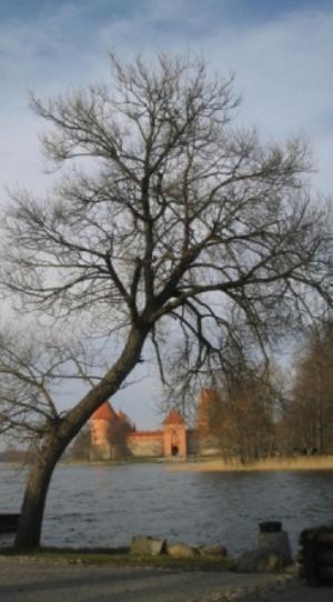 Ezerkiemis Hotel Trakai Eksteriør billede