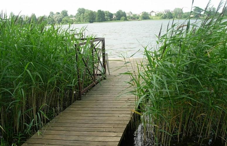 Ezerkiemis Hotel Trakai Eksteriør billede